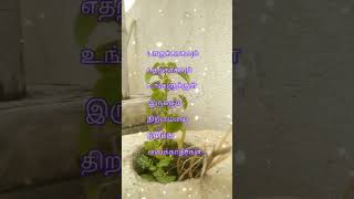 உதாசீனம் படுத்தப்பட்டதால் தான் motivationtamilpositive thinking motivationviralpowerful