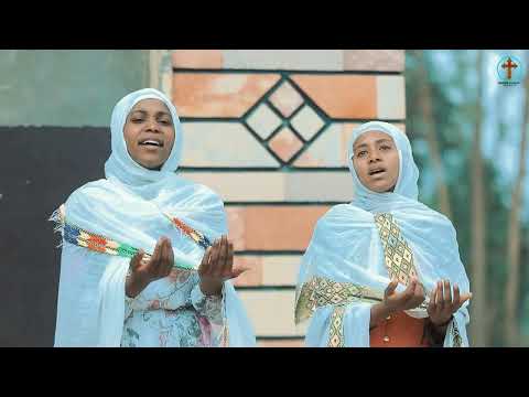 Haadhan Qaba Faaruu Haaraa F Ttuu Alam Damisee