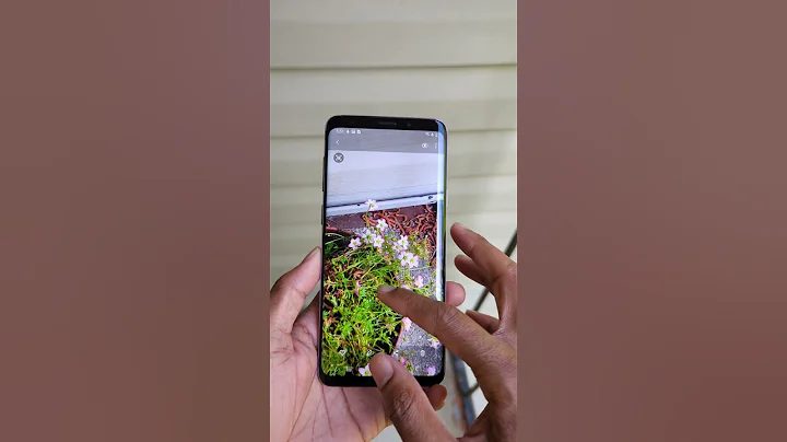 S9 Plus In 2023! - 天天要聞