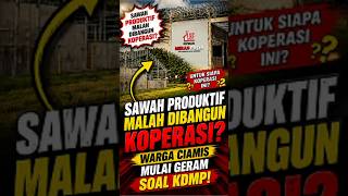 SAWAH PRODUKTIF MALAH DIBANGUN KOPERASI? Warga Ciamis Mulai Geram Soal KDMP!