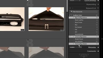 Managing Keywords and Keyword Hierarchies in Lightroom 3