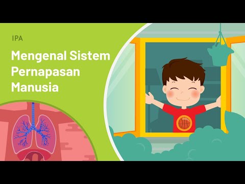 Sistem Pernapasan Manusia: Gimana Sih Cara Manusia Bernapas? | Geniora SayaBisa