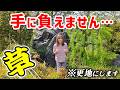 【980万バブル豪邸】放置された日本庭園はもはやジャングル。荒れ果てた庭をスッキリ駐車場へ！