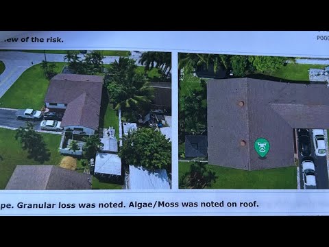 insurance options for freelance contractors