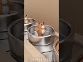 #shorts #satisfying #ytshorts #viral | satisfying feel video (shortEp.1)
