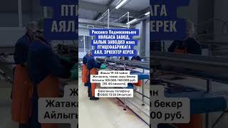 Работа в России
