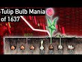 What The 1637 Tulip Bubble Can Tell Us Today