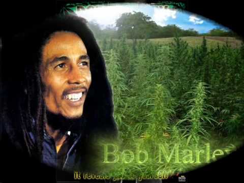 Bob Marley - Ganja Gun with lyrics