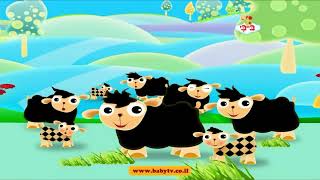 Babytv Herbraico םצאבצ פיךים של חברת התעופה Sheep The Family Its To Like Into 2020