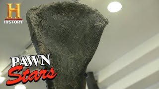 Pawn Stars: HUGE DINOSAUR BONE Costs Rick an Arm and a Leg (Season 16) | History
