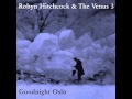 Robyn hitchcock  the venus 3  hurry for the sky