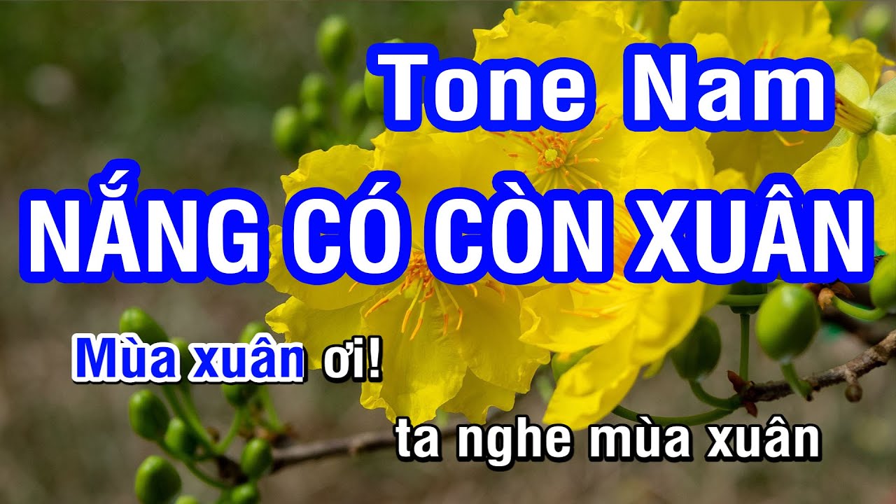 Karaoke Nắng Có Còn Xuân - Tone Nam (G#m) | Nhan KTV