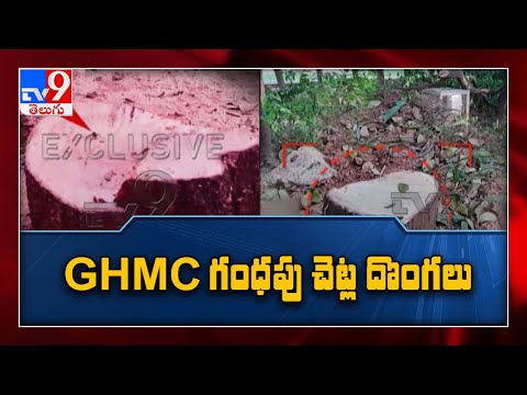 Hyderabad : GHMC లో గంధపు చెట్ల దొంగలు - TV9