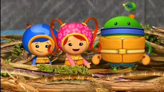 Birds Learn How To Flap Their Wings Team Umizoomi Compilation Video