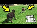 СМОЖЕТ ЛИ ЧОП УБИТЬ СОБАКУ?! КТО ПОБЕДИТ?! ЧОП ПРОТИВ СОБАКИ! (GTA 5)