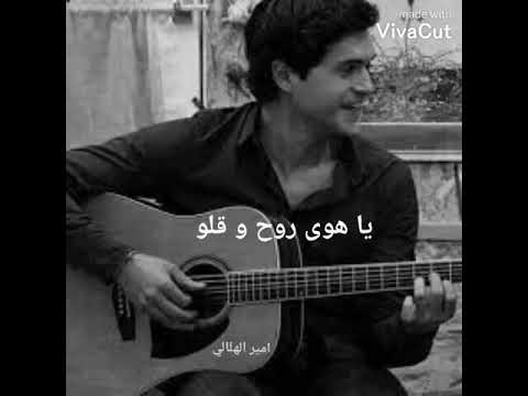 يا هوى روح وقلو وائل كفوري