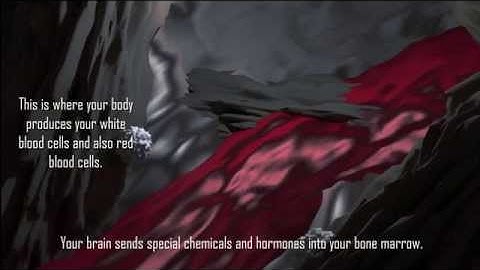 Exercise and your immune system