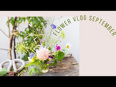 Video: What To Do For A Florist In September