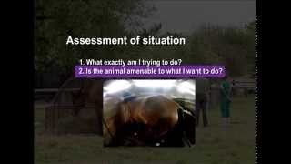 02 Assessment of situation
