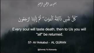 Heart Touching reaction - Kullu nafsin zaikatul Maut by Abdul rahman Mossad #hearttouching #quran