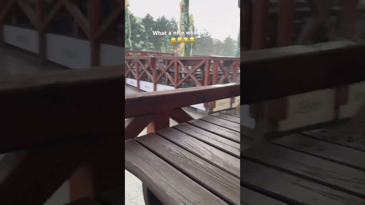 At Least I Enjoyed My Kofola Funny Weather Lol Funthings