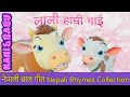 Lali Hamri Gai लाली हाम्री गाई | Nepali Rhymes Collection | लोक प्रिय नेपाली बाल गीत