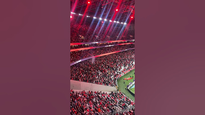 Benfica 5-0 Rio Ave: Estádio da Luz ao rubro #euamoobenfica