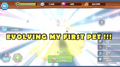 EVOLVING MY VERY FIRST PET IN MY DEFI PET!