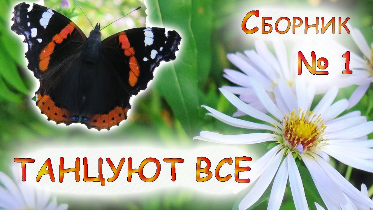 Танцевальные песни, Сборник № 1, Танцуют все, - YouTube