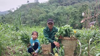 Video Full 30 days : of Harvesting Fruit , Green Vegetables in  Forests ,To The Market sell,