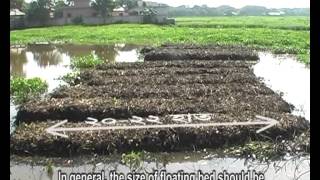 Floating Vegetable Garden