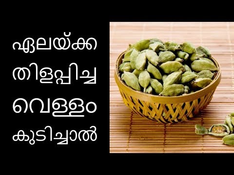 ഏലയ്ക്ക തിളപ്പിച്ച വെള്ളം കുടിച്ചാല്‍||Health Tips Malayalam