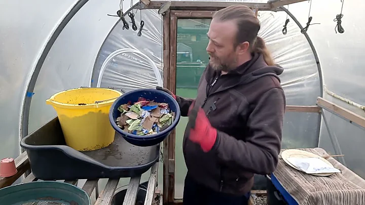 Allotment Update 8 /1 /23 - A New Year and a New S...