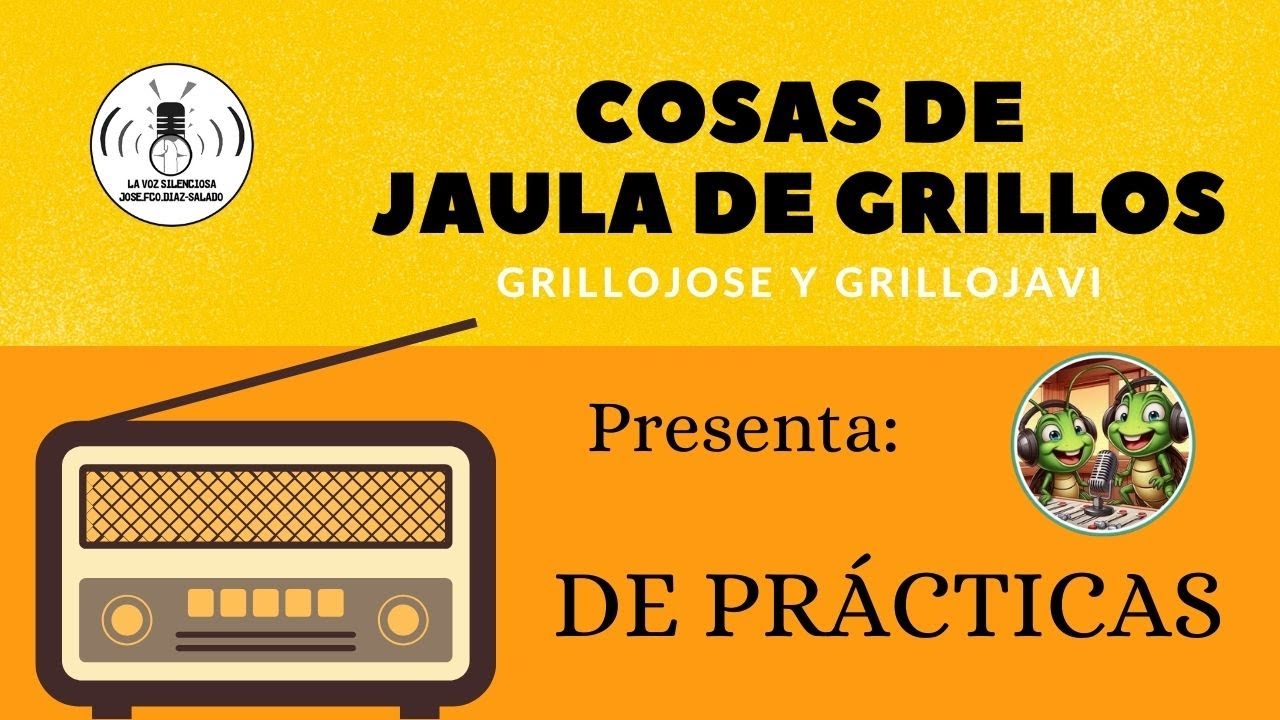 26-4-24 - DE PRÁCTICAS - JAULA DE GRILLOS