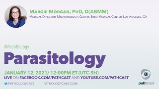 Parasitology - Dr. Morgan (Cedars Sinai) #MICROBIOLOGY