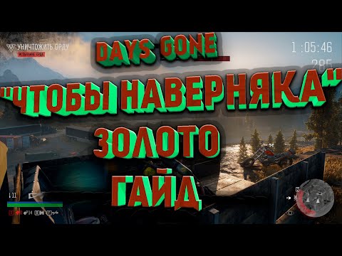 Видео: Days Gone гайд, как пройти на ЗОЛОТО "Чтобы наверняка"