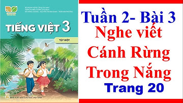 Tiếng Việt 3 |Tuần 2 | Bài 3| Nghe Viết Cánh Rừng Trong Nắng| Trang 20| Sách Kết Nối Tri Thức