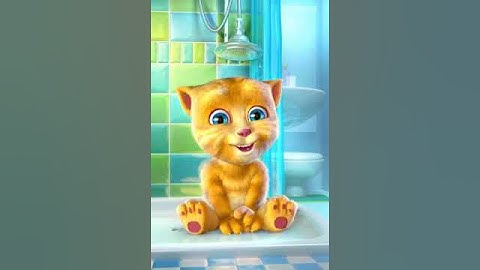 The Lazy Cat singing The Lazy Song