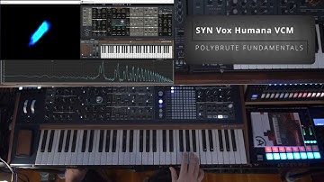 Vox Humana Arturia Polybrute Synth Patch