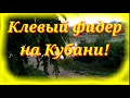 Клёвый фидер на Кубани.