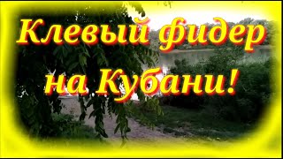 Клёвый фидер на Кубани.