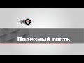 Полезный Гость  / Ольга Чугунова // 24.08.21