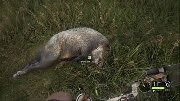 theHunter - Call of the wild - The Hawk Edge CB-70