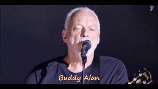 Wish you were here - David Gilmour (Live) Subtitulado al Castellano