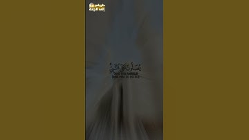 إن الله وملائكته يصلون على النبي #سورة_الأحزاب #فارس_عباد #trend #trending #explore #قرآن #اكسبلور