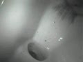 Pat the Plumber, Topeka - Toilet clogged with spoon by 2 yr old