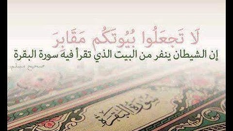 سوره البقره كاملة - تلاوة تريح النفس اسمعها قبل النوم . مشاري راشد العفاسي