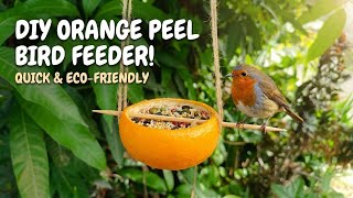 Turn Orange Peels Into a Bird Feeder