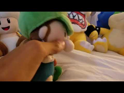Bowser jr and Ludwig
