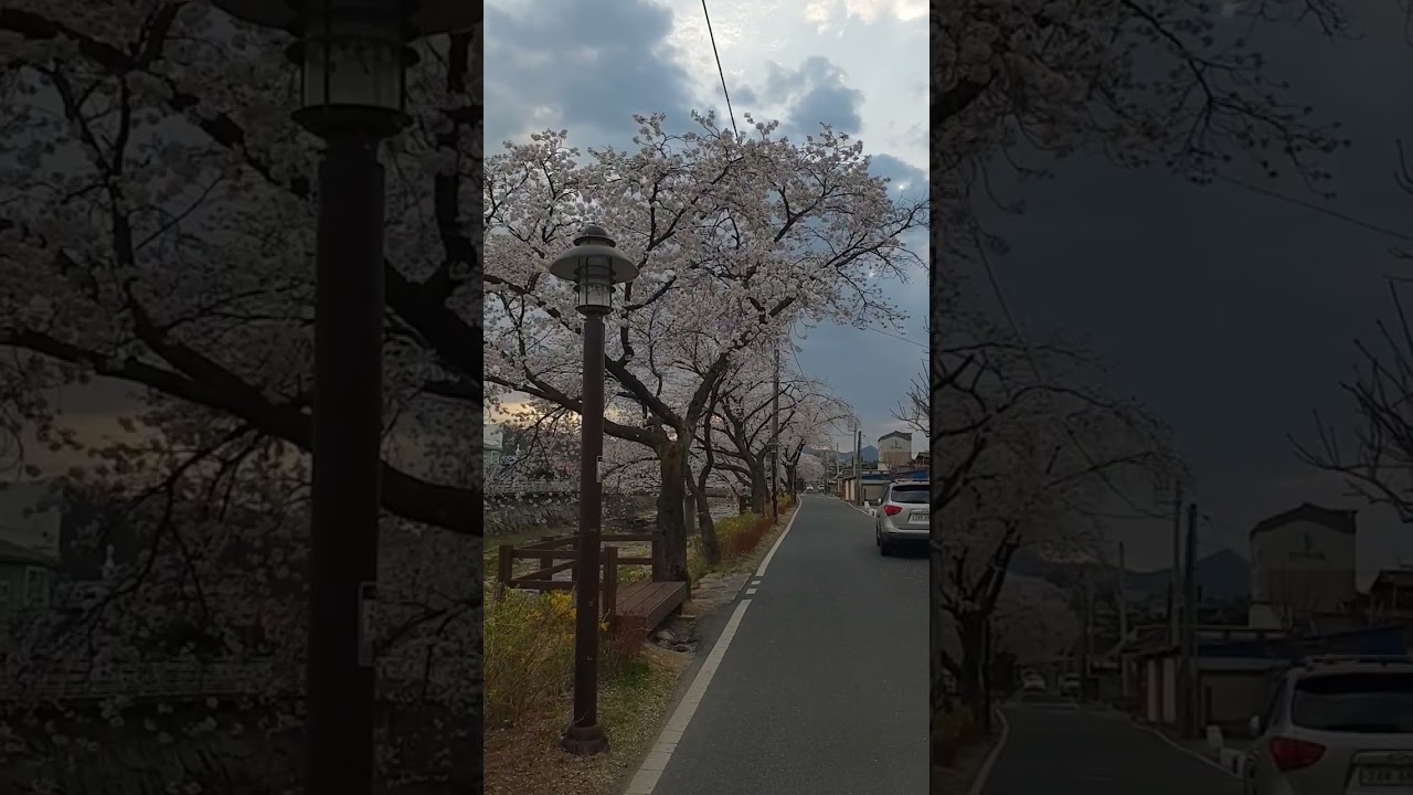 창세기1장ㆍ낭독